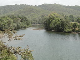 256px-Bloomfield_River