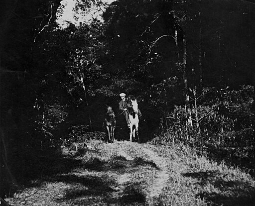 Kuranda Range Road