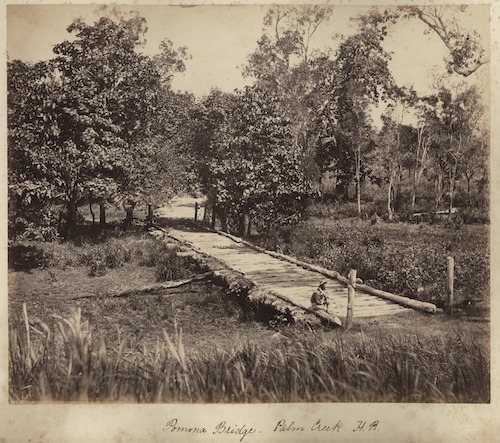 Pomona Bridge across Palm Creek, Herbert River, near Ingham, ca. 1881 [SLQ] copy