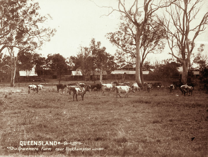 Queensland_State_Archives_5126_Gracemere_Farm_near_Rockhampton_c_1897