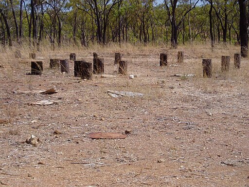 512px-Maytown_Township_(2003),_stumps_of_the_former_school_