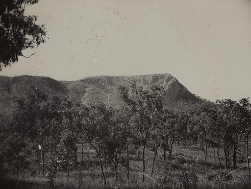 512px-Trees_at_the_foothills_of_Mount_Mulgrave,_1936