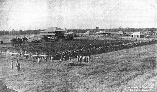 512px-StateLibQld_2_196683_Wrotham_Park_Station,_Wrotham_Park,_Queensland,_1906